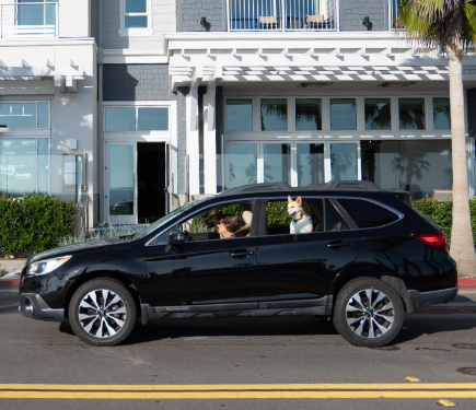 San Diegans in the car with their dog in Oceanside