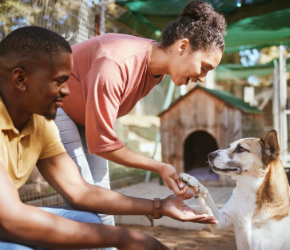 Two people at an animal shelter