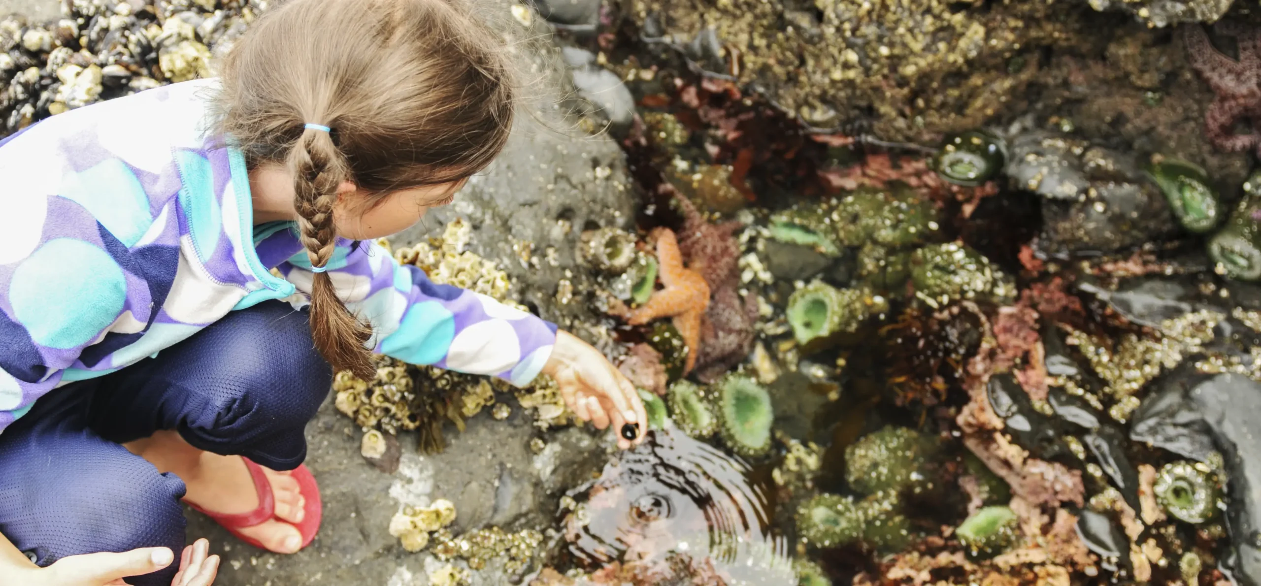 Child at Tidepools