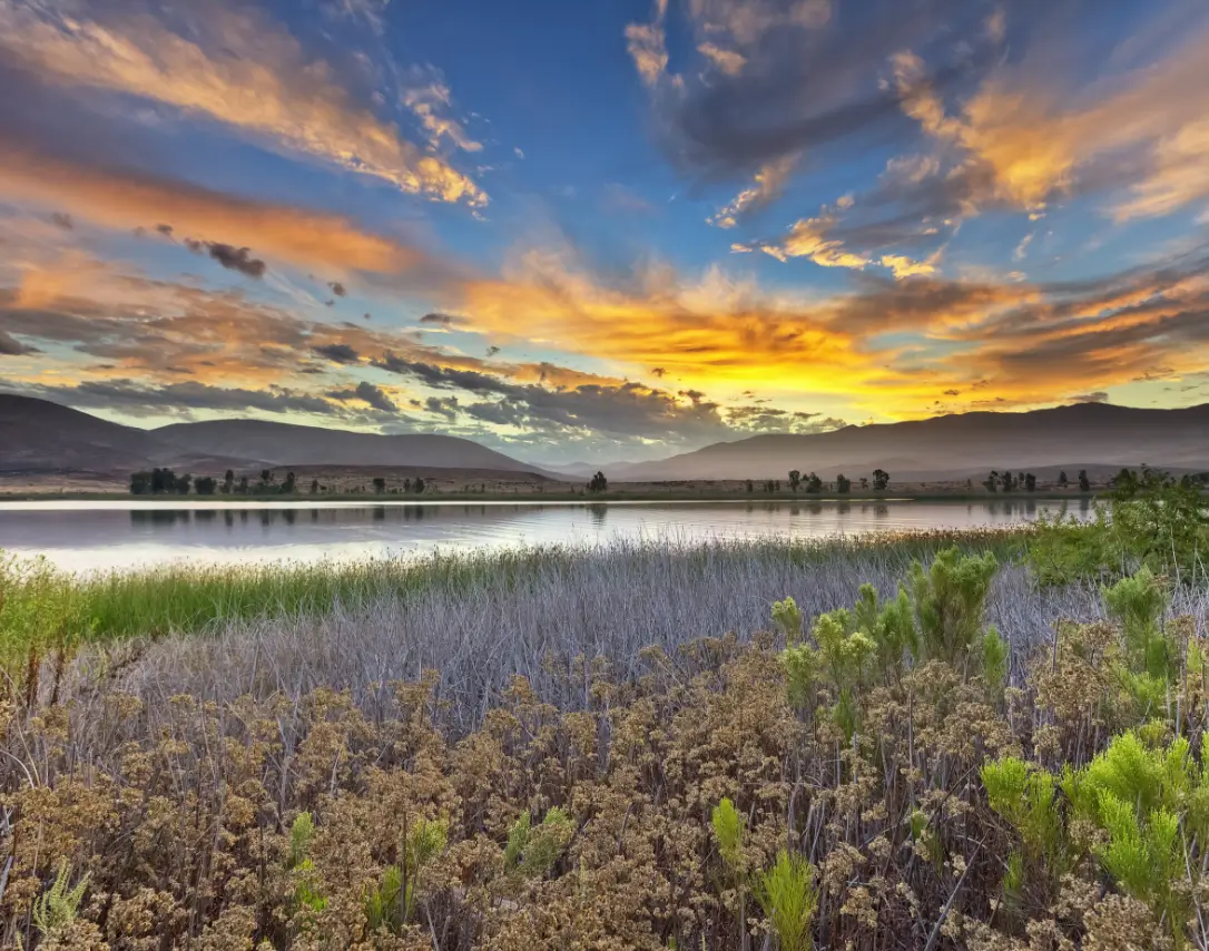 Lake Sunset