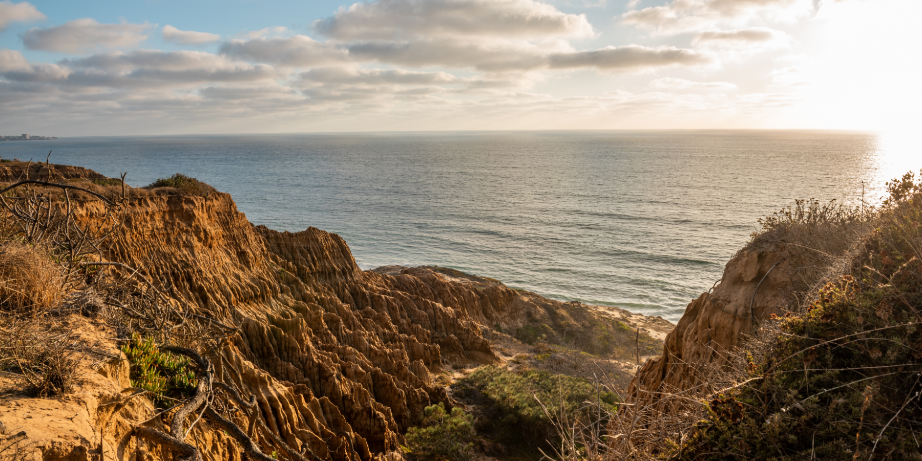 Torrey Pines State Natural Reserve